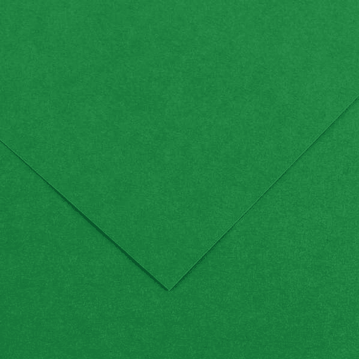 Canson Guarro Pack de 25 Cartulinas Iris de 185g - 50x65cm - Color Verde Abeto 1