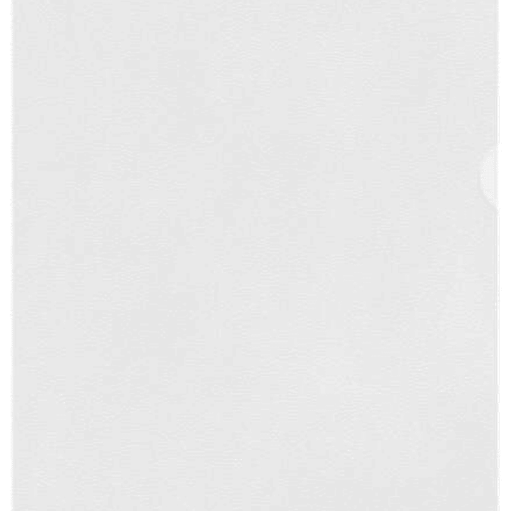 Esselte Caja de 100 Dossiers Uñero Formato A4 - Lamina de PP Piel de Naranja - Grosor 0.11mm 1