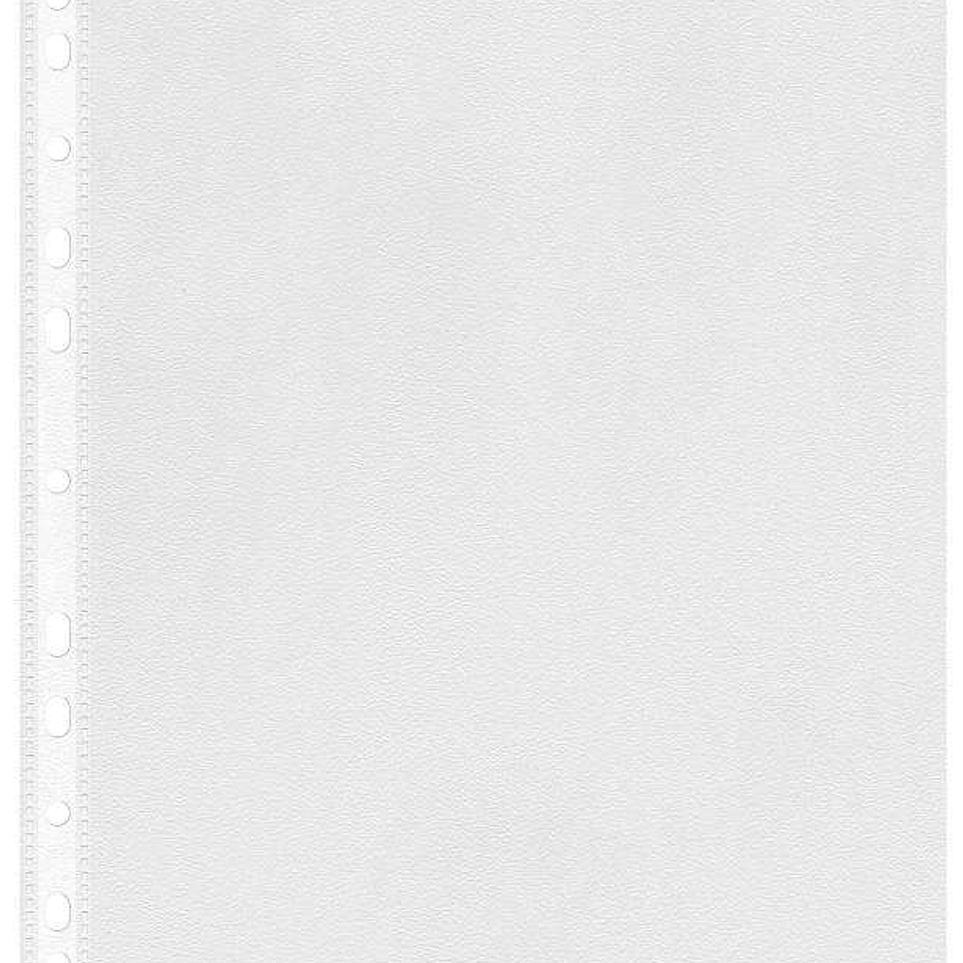 Esselte Eco Pack de 100 Fundas Multitaladro Portadocumentos A4 - Lamina de PP Reciclable Transparente de 0,05mm - Acabado Piel de Naranja - 11 Taladro 1