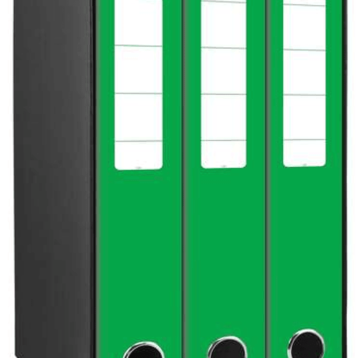 Mariola Box Modulo de 3 Archivadores con Rado 2 Anillas 40mm - Tamaño 35x26x17cm - Carton Forrado - Color Verde 1