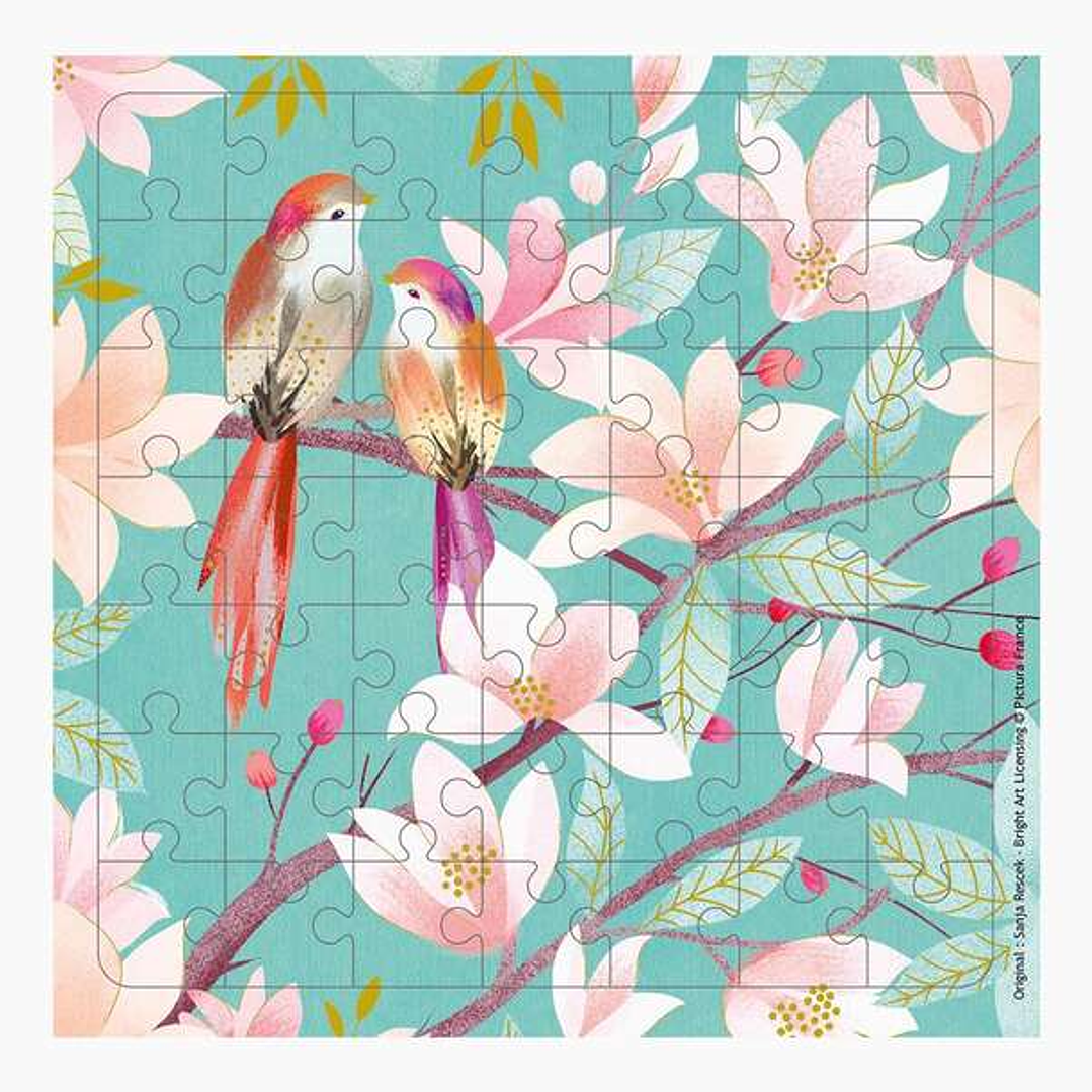 Pictura Tarjeta Puzzle - 15.5x15.5cm - Tematica de Pajaros - 49 Piezas - Incluye Tarjeta Plegada y Sobre Blanco - Certificacion FSC - Embolsada Indivi 1