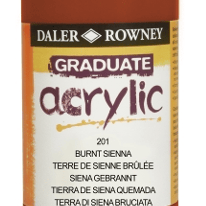 Daler Rowney Graduate Pintura Acrilica - Botella de Plastico - 500ml - Color Siena Quemada 1