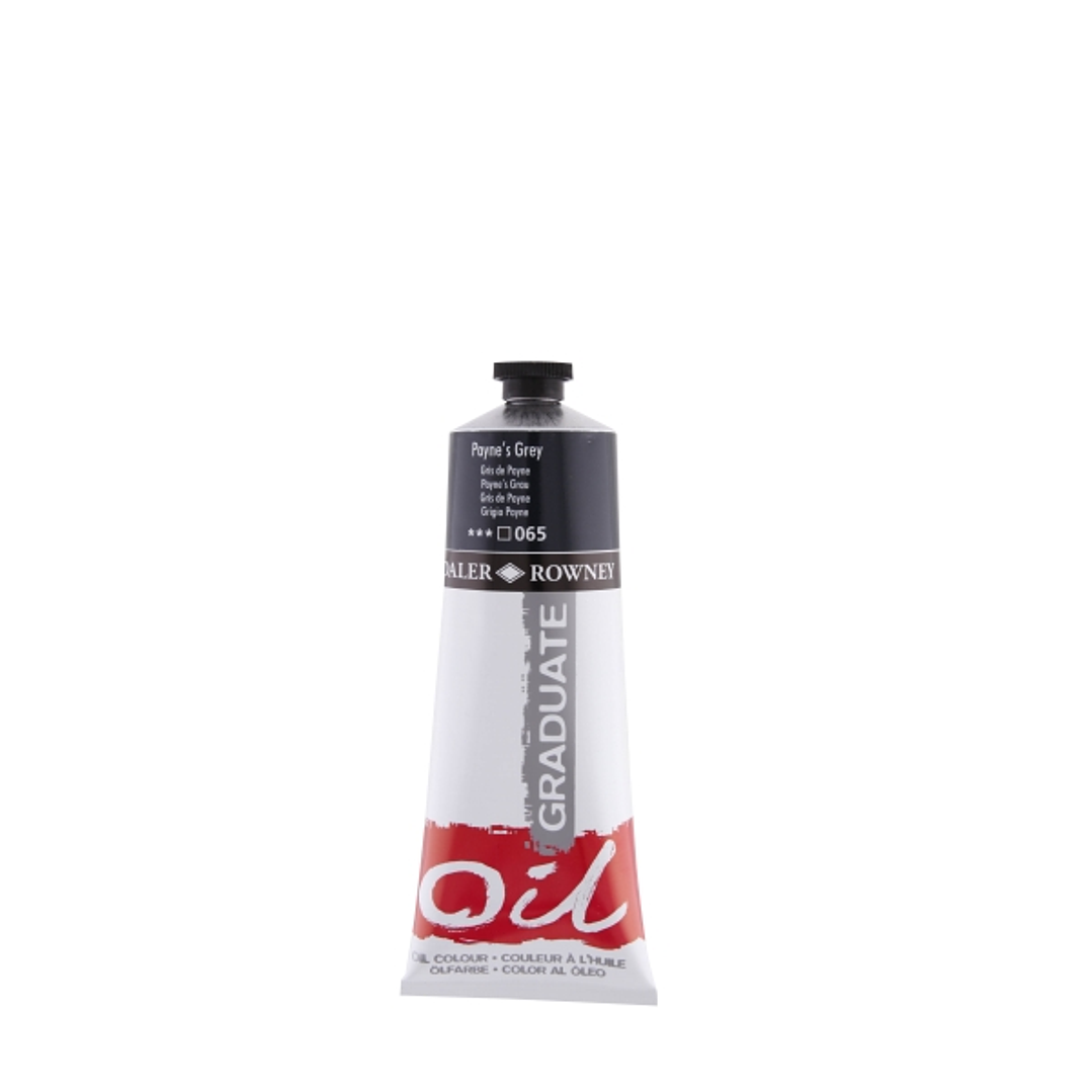 Daler Rowney Graduate Pintura al Oleo - Tubo de Aluminio - 220ml - Color Gris de Payne 1