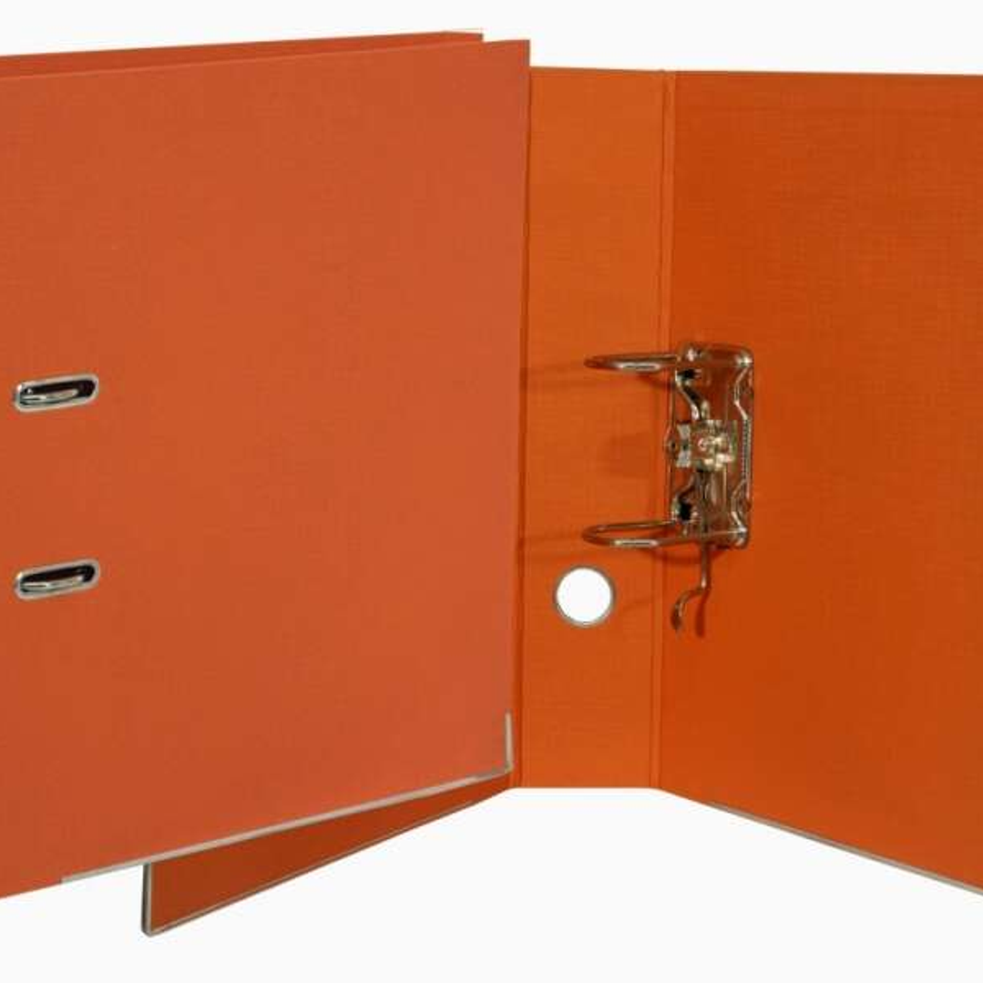 Bismark Archivador A-Z Formato Folio - PVC de Gran Resistencia - Tarjetero en el Lomo - Cartoneras Metalicas en el Borde Inferior - Mecanismo de Palan 1