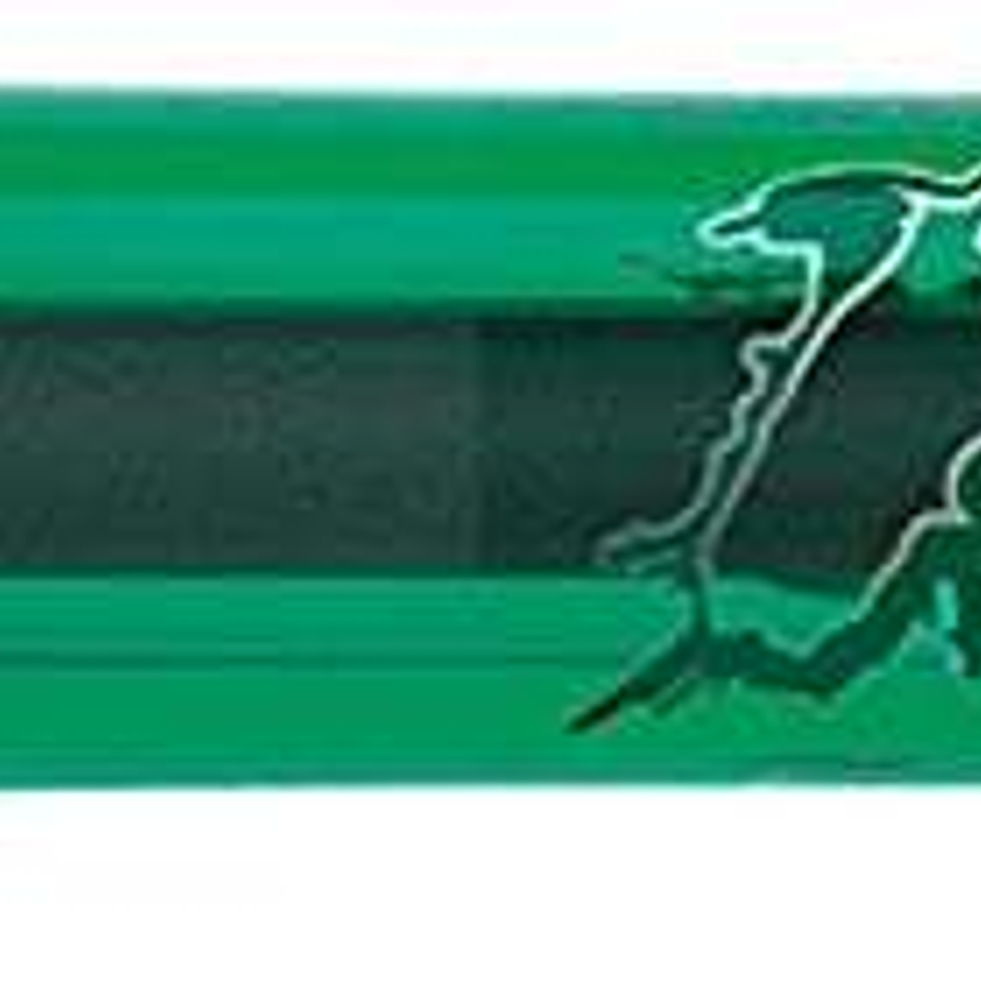 Bic Gel-ocity Illusion Boligrafo de Tinta Gel Borrable - Punta Media de 0.7mm - Recargable - Grip de Goma - Clip de Plastico - Color Verde 1