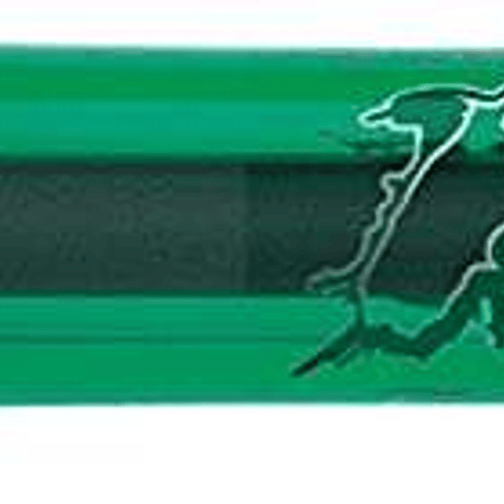 Bic Gel-ocity Illusion Boligrafo de Tinta Gel Borrable - Punta Media de 0.7mm - Recargable - Grip de Goma - Clip de Plastico - Color Verde 1