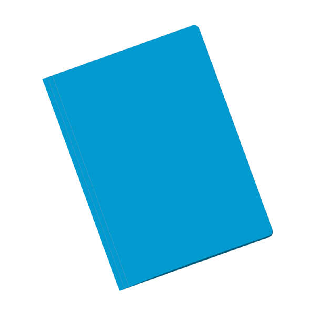 Dohe Subcarpetas Fabricadas en Cartulina de 180gr - con Ranura para Fastener - Ideal para Organizar Documentos - Resistente y Duradera 1