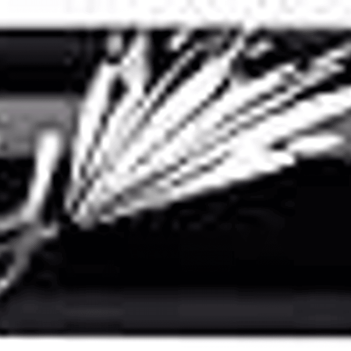 Bic Intensity Fine Rotulador de Punta Fina de 0.8mm - Trazo de 0.4mm - Tinta con Base de Agua - Color Verde 1