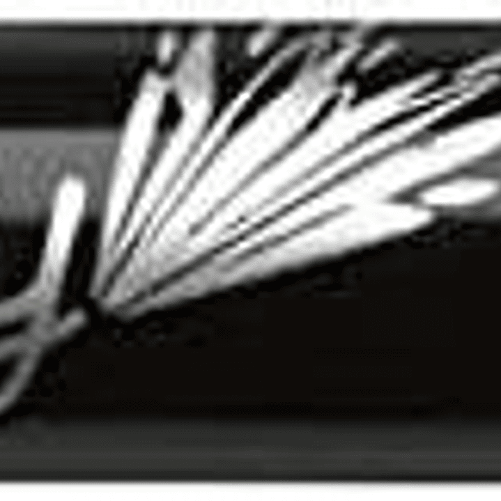 Bic Intensity Fine Rotulador de Punta Fina de 0.8mm - Trazo de 0.4mm - Tinta con Base de Agua - Color Negro 1