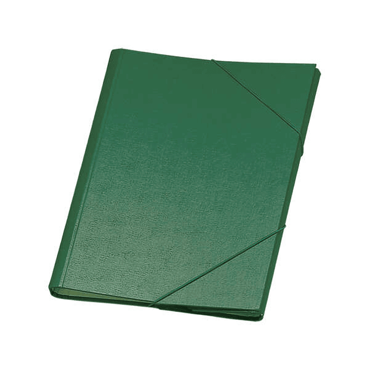 Dohe Carpeta Clasificadora 12 Departamentos - Formato Folio - Carton Plastificado - Cierre con Gomas - Color Verde 1