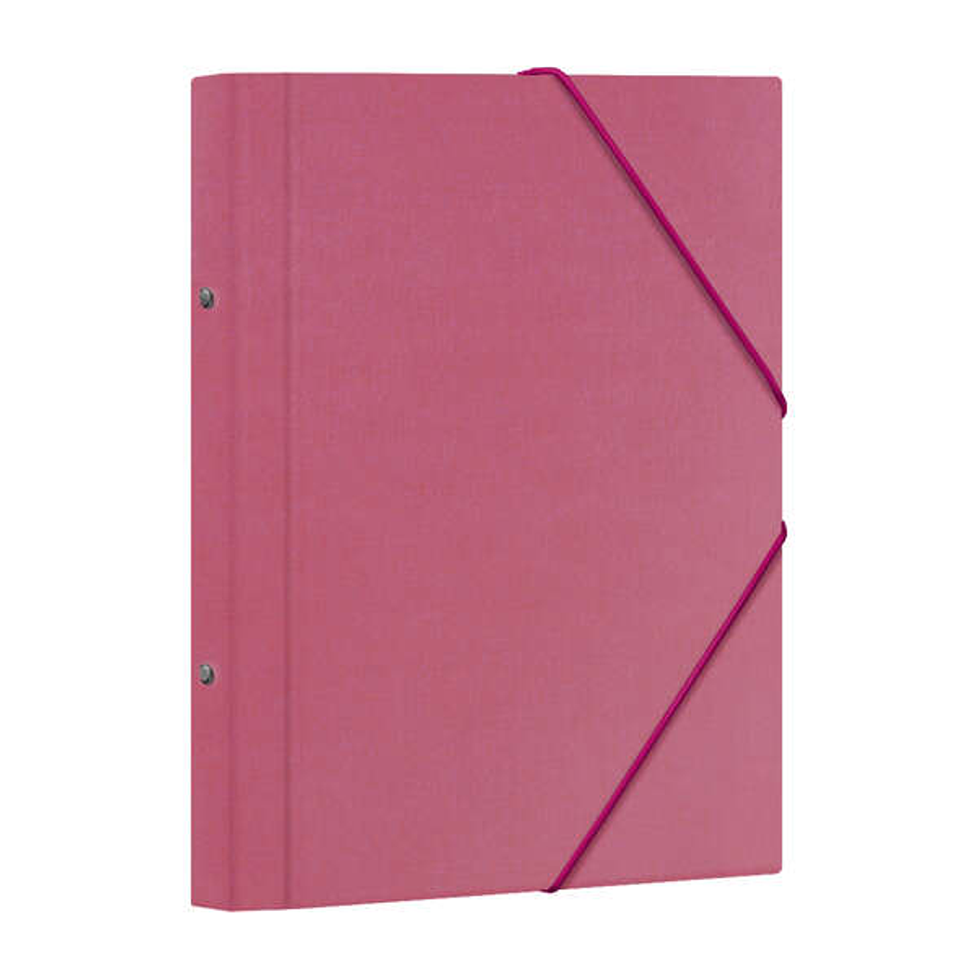 Dohe Carpeta Clasificadora 12 Departamentos - Formato Folio - Carton Plastificado - Cierre con Gomas - Color Rosa 1
