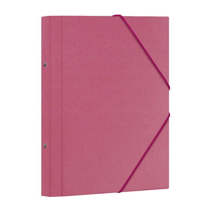 Dohe Carpeta Clasificadora 12 Departamentos - Formato Folio - Carton Plastificado - Cierre con Gomas - Color Rosa 1