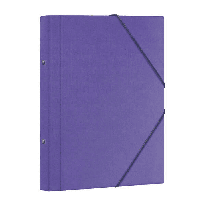 Dohe Carpeta Clasificadora 12 Departamentos - Formato Folio - Carton Plastificado - Cierre con Gomas - Color Morado 1