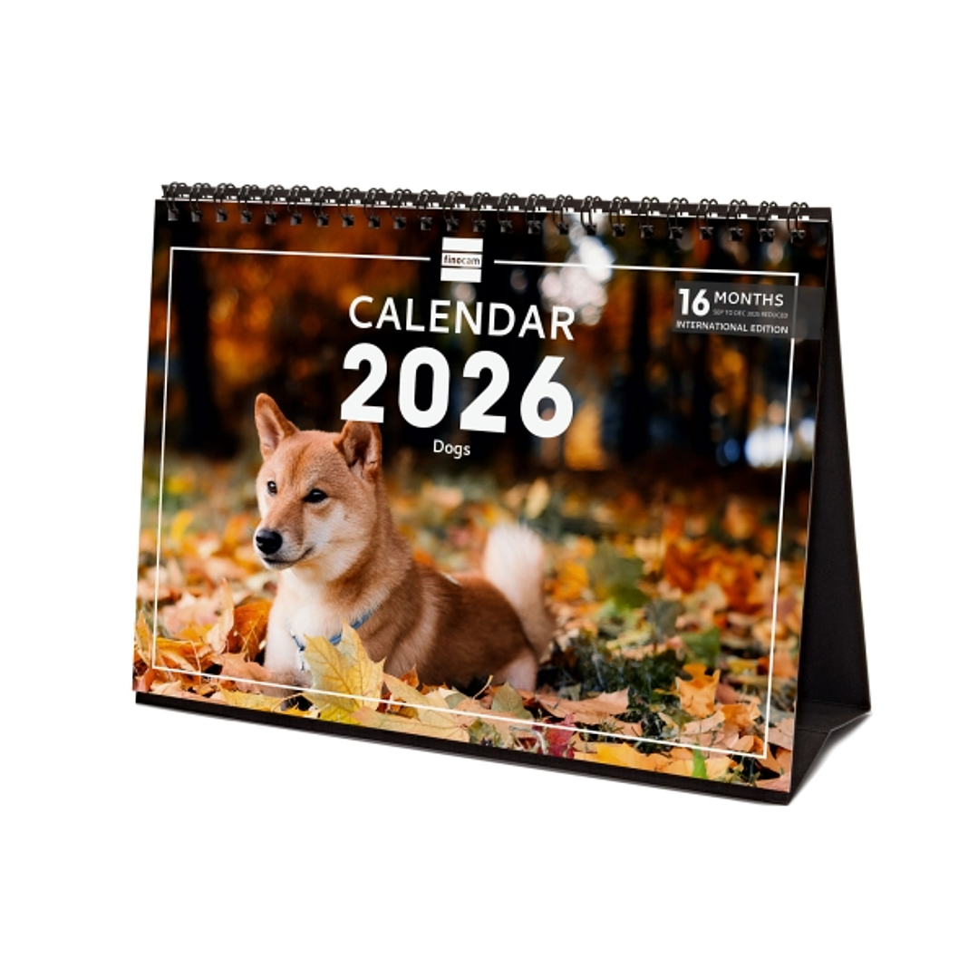 Finocam Calendario de Sobremesa Internacional - Anual 2026 - Imagenes Variadas - 210x70x155mm - Tematica de Perros 1