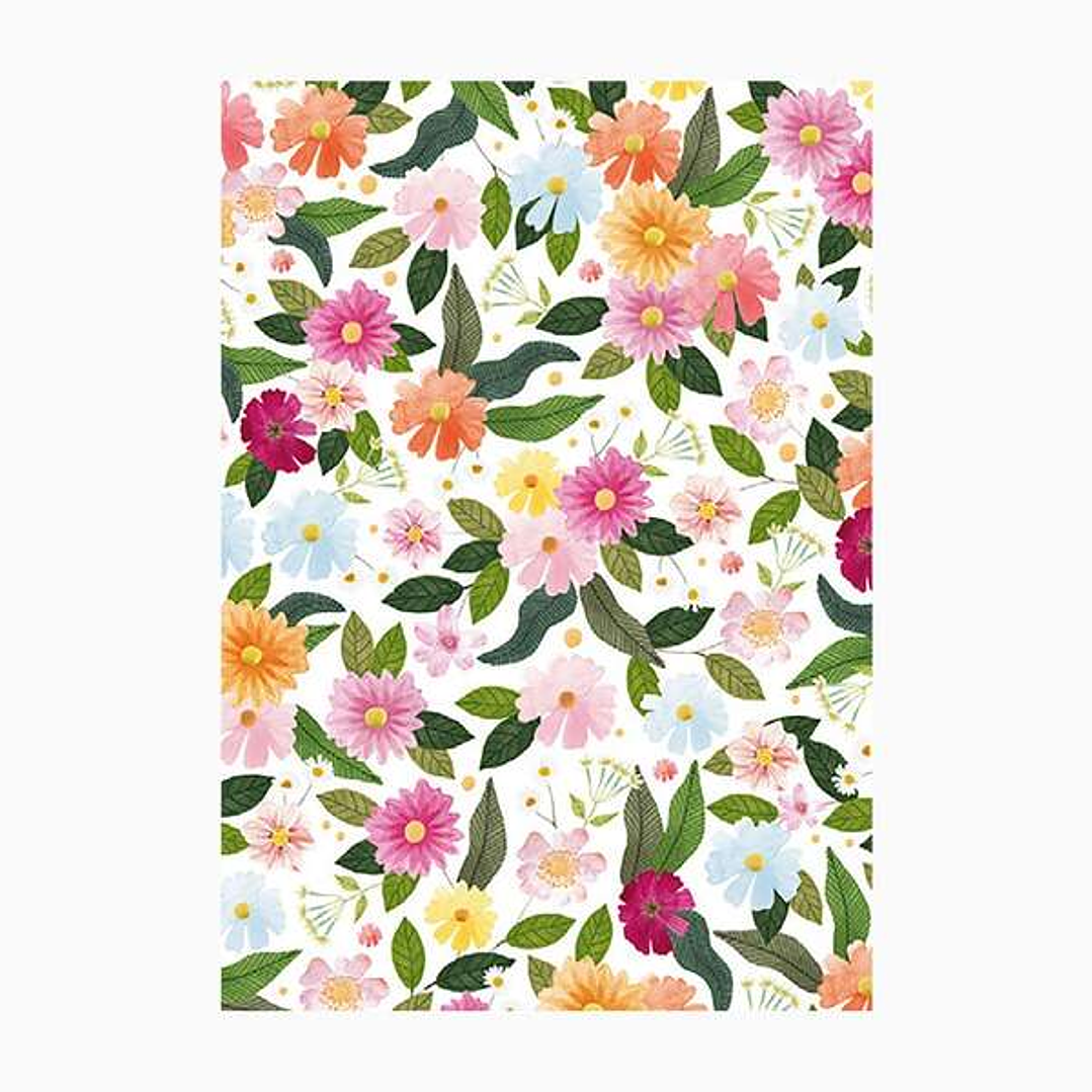 Pictura Cuaderno A6 - 105x150mm - 48 Paginas con Lineas - Papel con Certificacion FSC 1