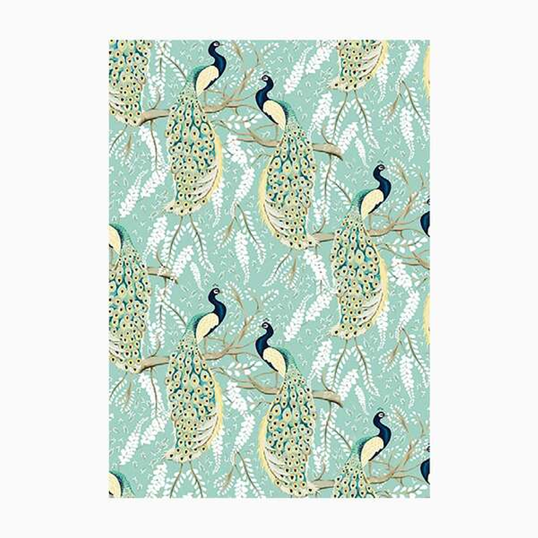 Pictura Cuaderno A6 - 105x150mm - 48 Paginas con Lineas - Papel Certificado FSC 1