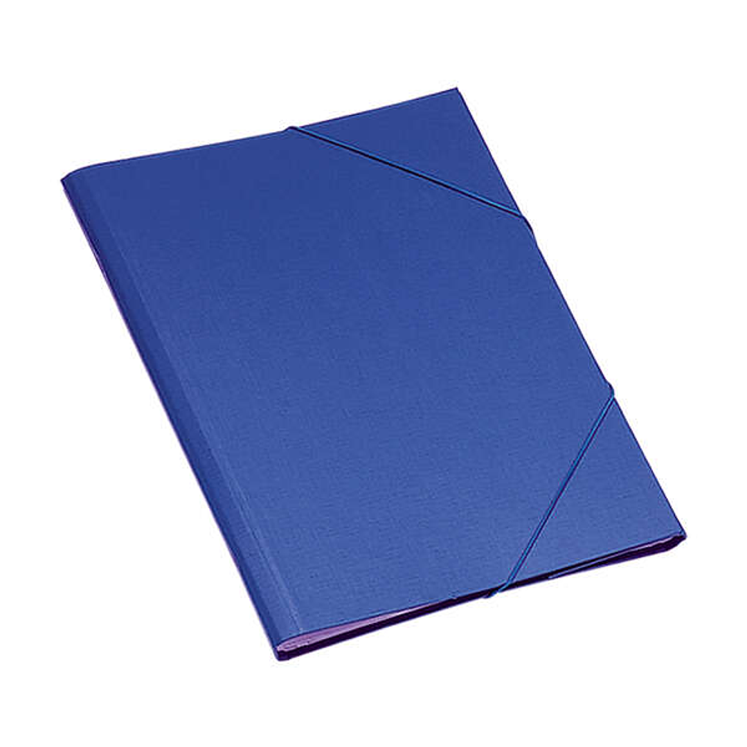 Dohe Carpeta Clasificadora 12 Departamentos - Formato Folio - Carton Plastificado - Cierre con Gomas - Color Azul 1