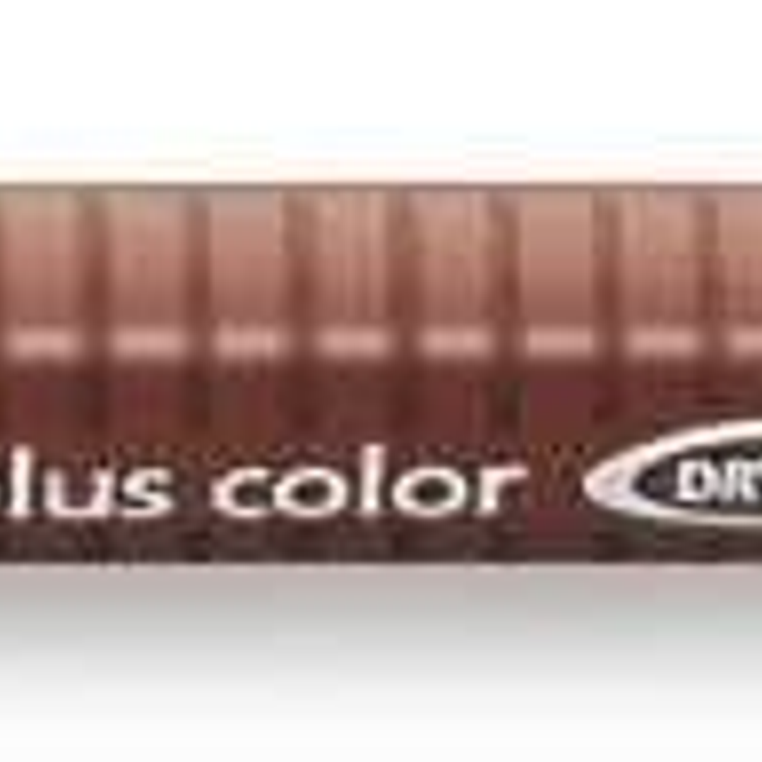 Staedtler Triplus Color 323 Rotulador de Punta Fina - Trazo 1mm Aprox - Tinta Base de Agua - Color Pardo Van Dyck 1