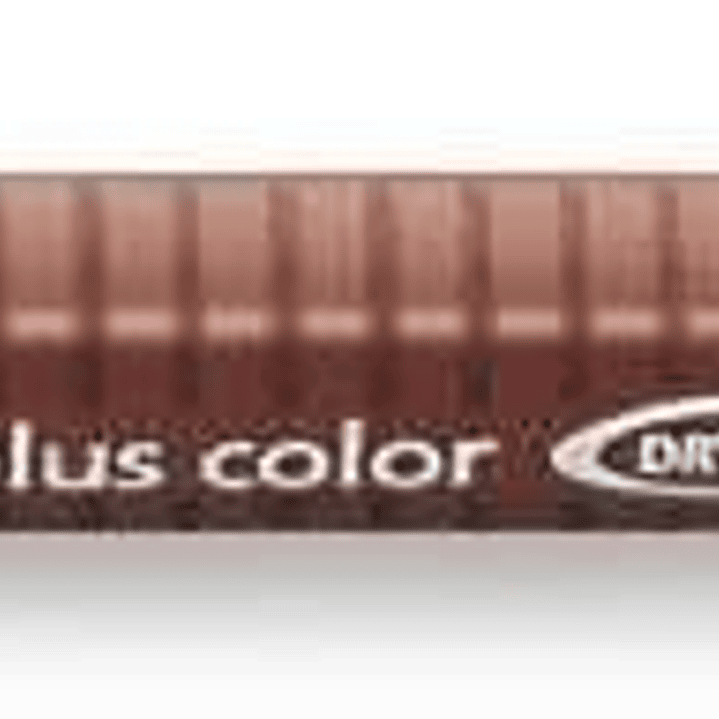 Staedtler Triplus Color 323 Rotulador de Punta Fina - Trazo 1mm Aprox - Tinta Base de Agua - Color Pardo Van Dyck 1