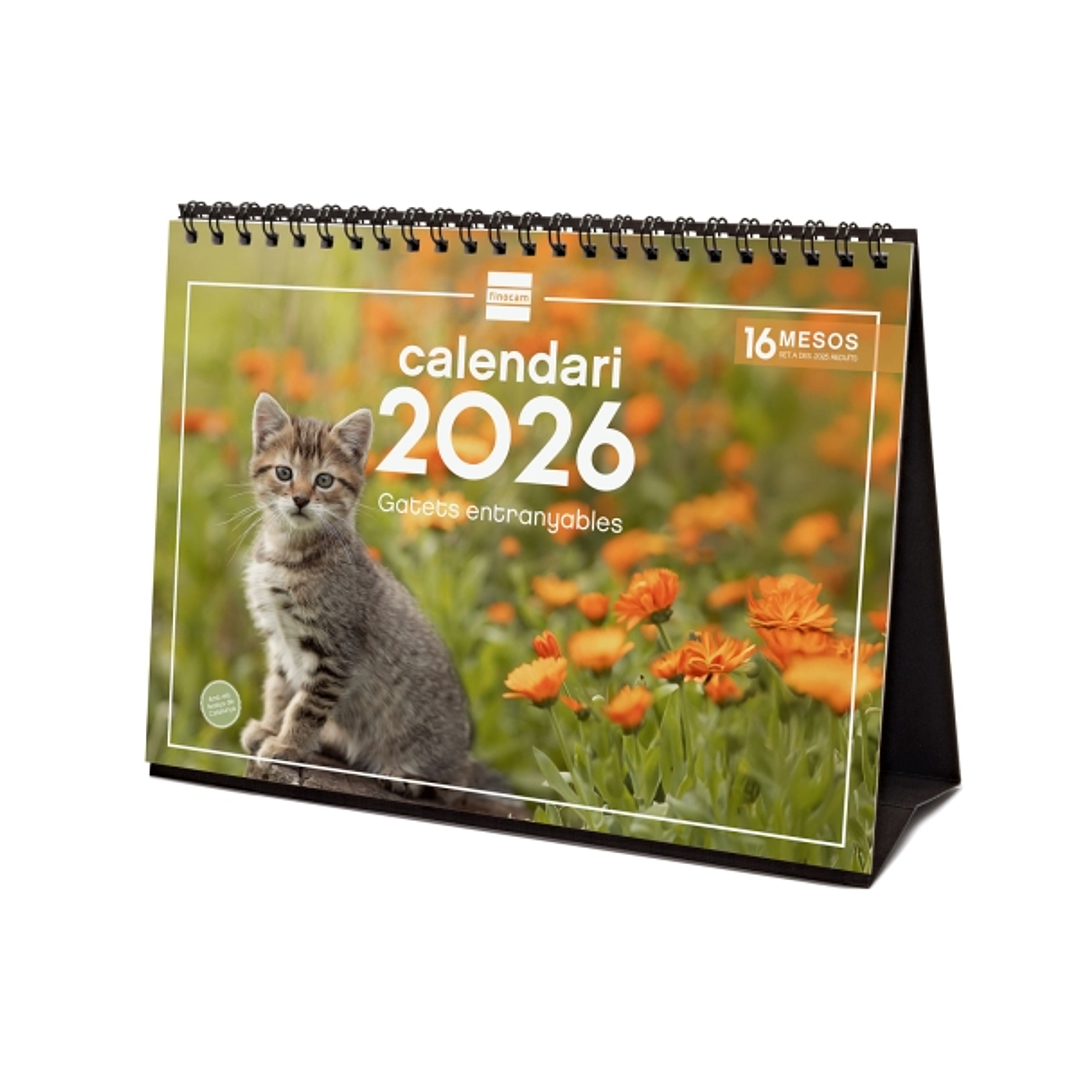 Finocam Calendario de Sobremesa en Catalan - Anual 2026 - Imagenes Variadas - Espacio para Escribir - Tematica de Gatos 1