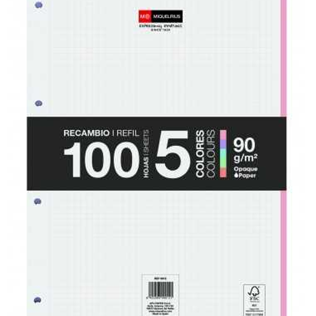 Miquel Rius Recambio Formato A4 - 100 Hojas Sueltas de 90gr con 4 Taladros - Banda de las Hojas en 5 Colores Pastel - Cuadricula 5x5 1