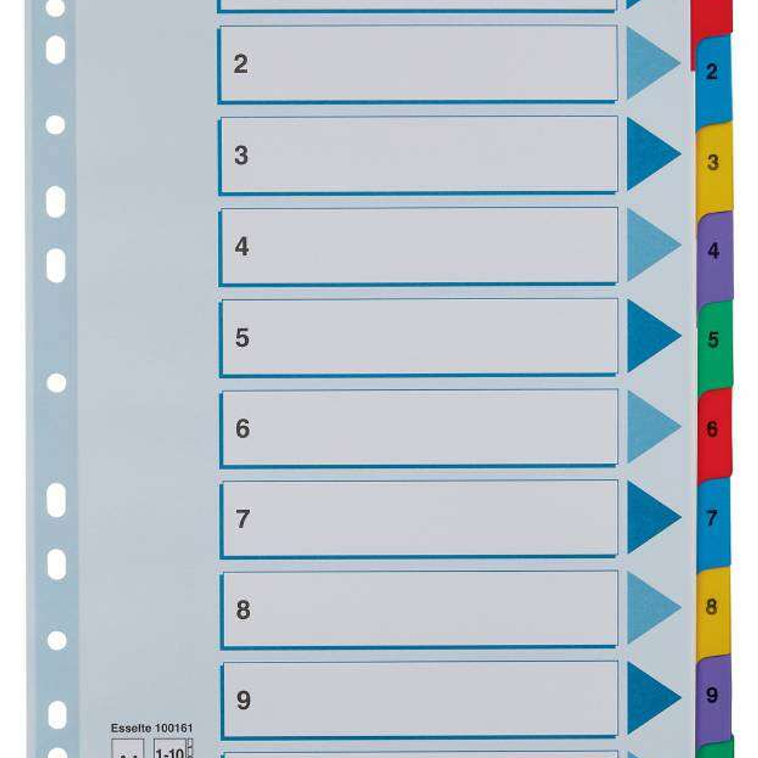 Esselte Indice de Carton con Pestañas Reforzadas - A4 - Numeradas 1-10 - Multicolor 1