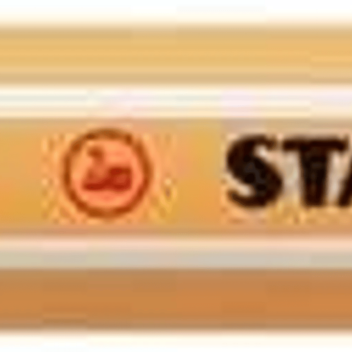 Stabilo Point 88 Rotulador de Punta Fina de Fibra - Trazo de 0.4 mm - Tinta con Base de Agua - Color Lila Grisaceo 1