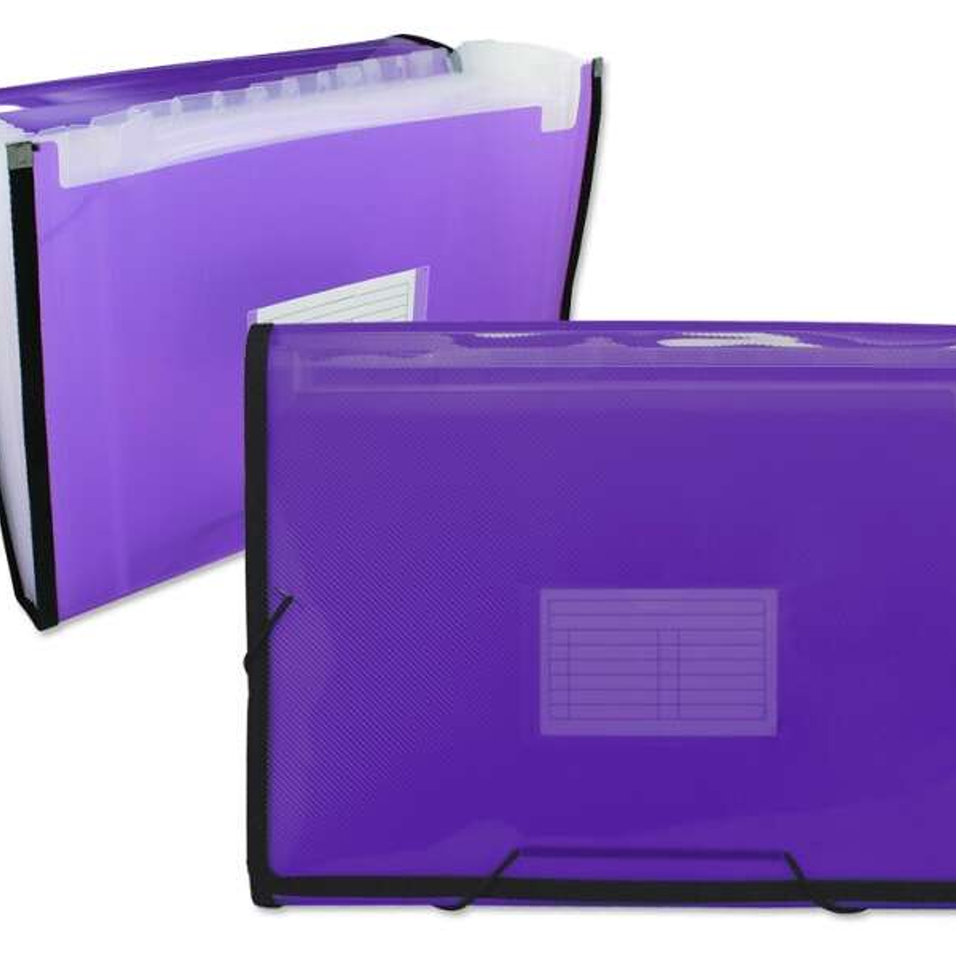 Ingraf Carpeta Frame Fuelle 13 Departamentos Tamaño A4 - Polipropileno Translucido - Gomas y Solapas - Color Morado 1