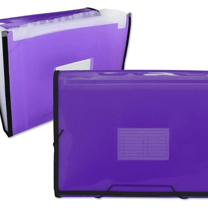 Ingraf Carpeta Frame Fuelle 13 Departamentos Tamaño A4 - Polipropileno Translucido - Gomas y Solapas - Color Morado 1