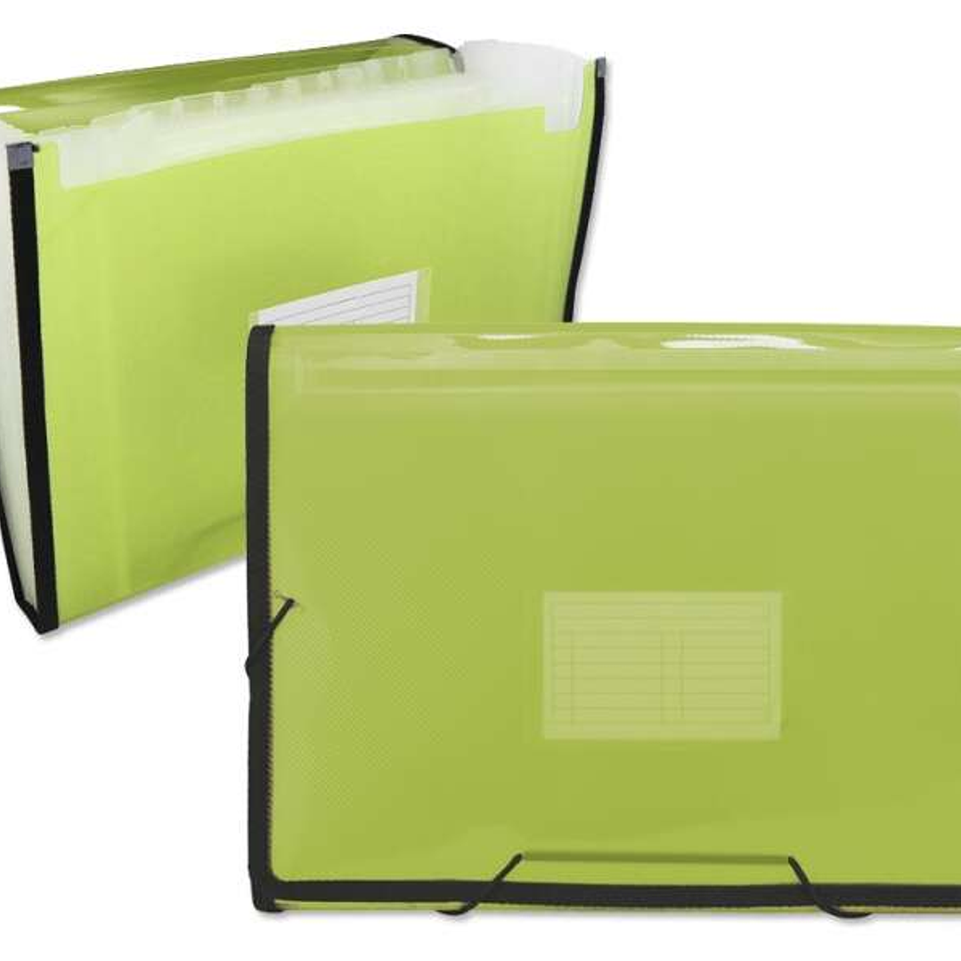 Ingraf Carpeta Frame Fuelle 13 Departamentos Tamaño A4 - Polipropileno Translucido - Gomas y Solapas - Color Verde 1