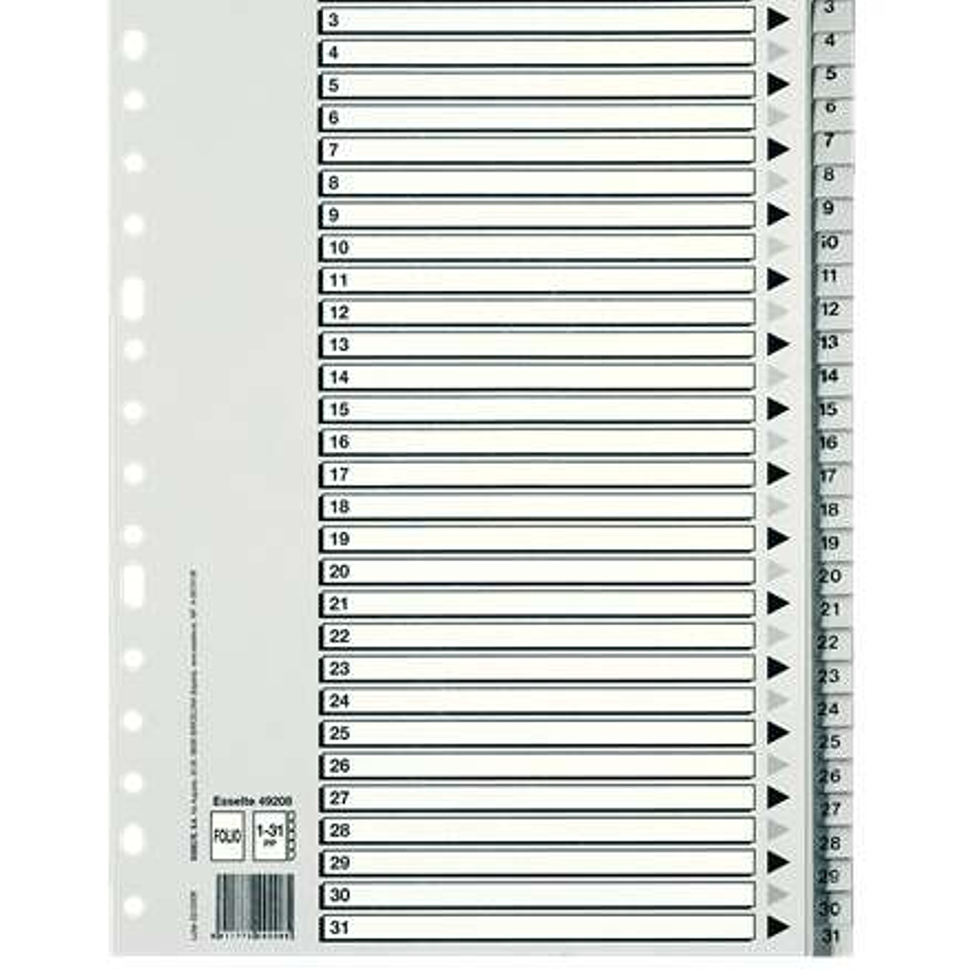 Esselte Bolsa de 25 Indices Numericos de Plastico - Pestañas 1 al 31 - Multitaladro - Formato Folio - Color Gris 1