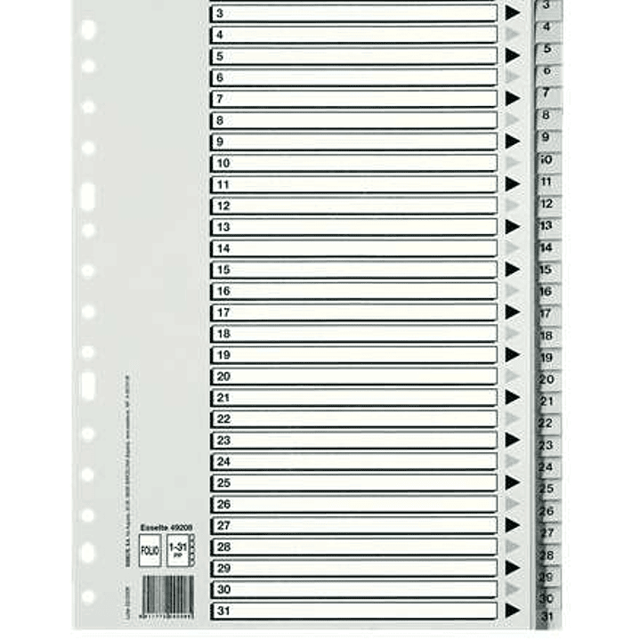 Esselte Bolsa de 25 Indices Numericos de Plastico - Pestañas 1 al 31 - Multitaladro - Formato Folio - Color Gris 1