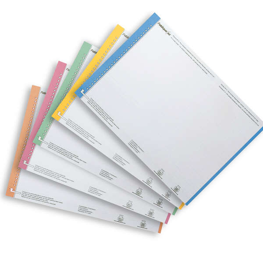 Elba Bristol Hoja 10 Etiquetas para Carpeta Colgante N°0 - Resistente - Tamaño Adecuado - Colores Surtidos 1