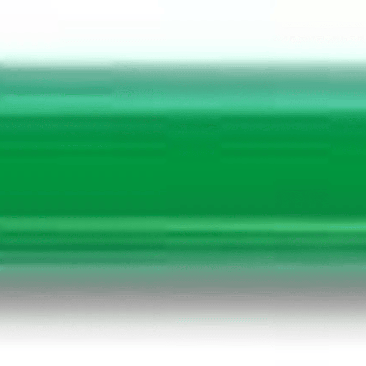 Pilot Color Eno H-197 Portaminas 0.7mm - Grip de Goma - Goma de Borrar - Mina de Color Verde 1