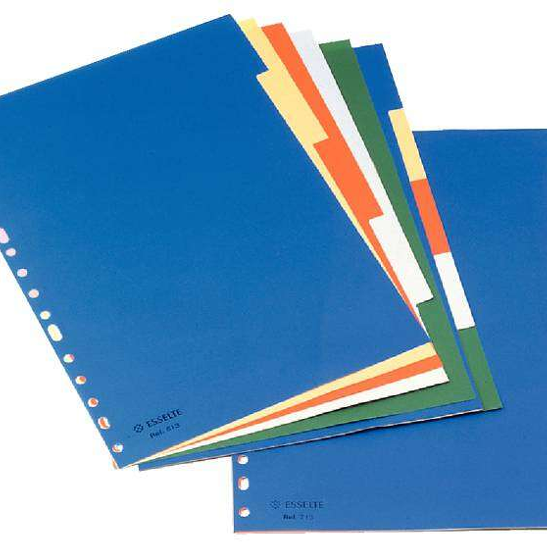 Esselte Separadores Plastico A4 con Cartulina Indice Blanco Negro - 5 Pestañas - Multitaladro - 5 Colores 1