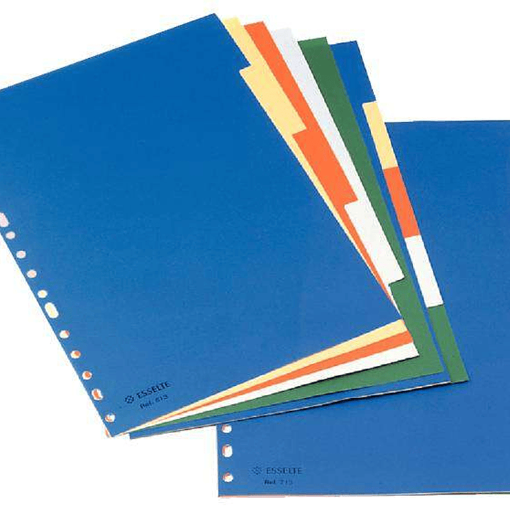 Esselte Separadores Plastico A4 con Cartulina Indice Blanco Negro - 5 Pestañas - Multitaladro - 5 Colores 1