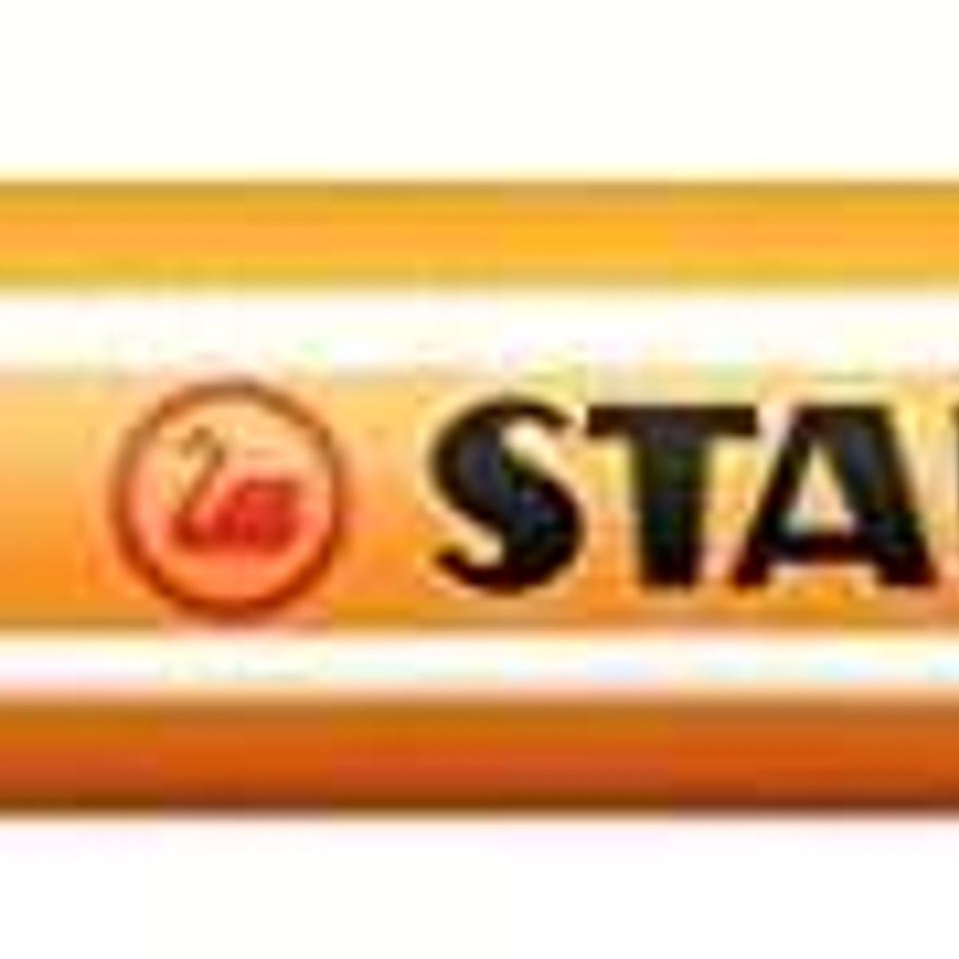 Stabilo Point 88 Rotulador de Punta Fina de Fibra - Trazo de 0.4 mm - Tinta con Base de Agua - Color Rosa Neon 1