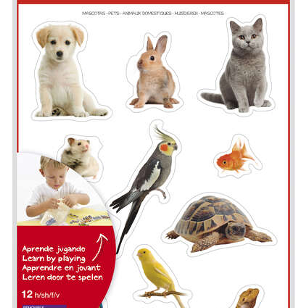 Apli Gomets Tematicos Realistas de Mascotas - 132 Gomets en 12 Hojas - Adhesivo Removible - Ideal para Desarrollar Habilidades Motoras - Normas EN-71  1