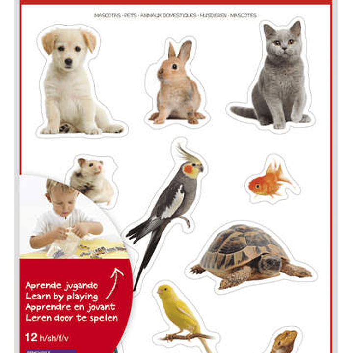 Apli Gomets Tematicos Realistas de Mascotas - 132 Gomets en 12 Hojas - Adhesivo Removible - Ideal para Desarrollar Habilidades Motoras - Normas EN-71  1