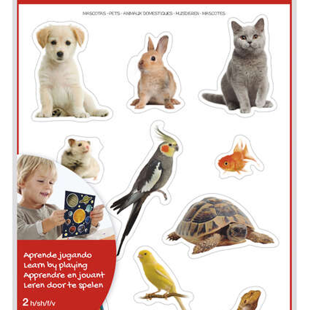 Apli Gomets Tematicos Realistas de Mascotas - 22 Gomets en 2 Hojas - Imagenes Realistas para Relacionar Animales Domesticos - Adhesivo Removible - Nor 1