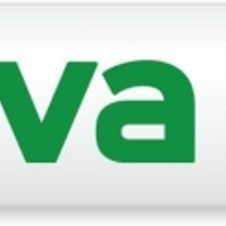 Molin Viva Rotulador para Pizarra Blanca - Punta Redonda de Fibra Sintetica - Trazo 3mm - Tinta con Base de Alcohol - Color Verde 1