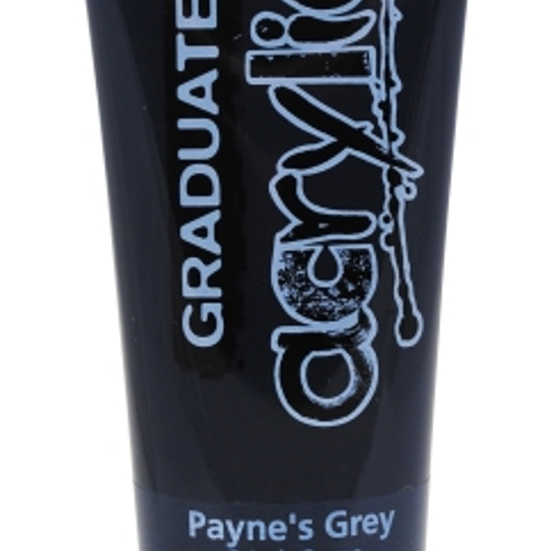 Daler Rowney Graduate Pintura Acrilica - Tubo de Plastico - 120ml - Color Gris de Payne 1