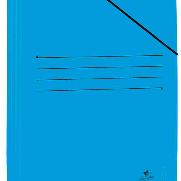 Mariola Carpeta de Carton Plastificado Folio 500gr/m2 - Medidas 34x25cm - Cierre con Goma Elastica - Color Azul 1