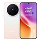 VIVO X300 6.31