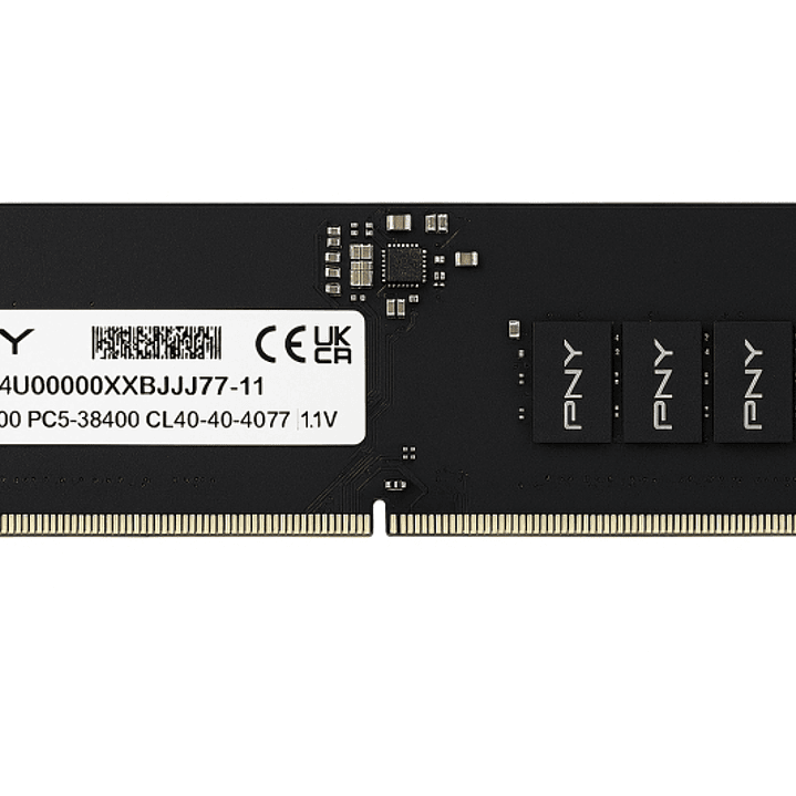 PNY Performance Memoria RAM DDR5 16GB 4800MHz CL40 1