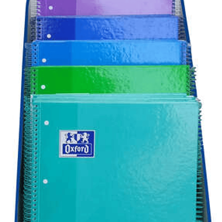 Oxford Europeanbook 1 Classic Expositor con 25 Cuadernos Espiral A4+ 80 Hojas Cuadicula 5x5 Microperforado - Tapa Extradura - Colores Frios Surtidos 1