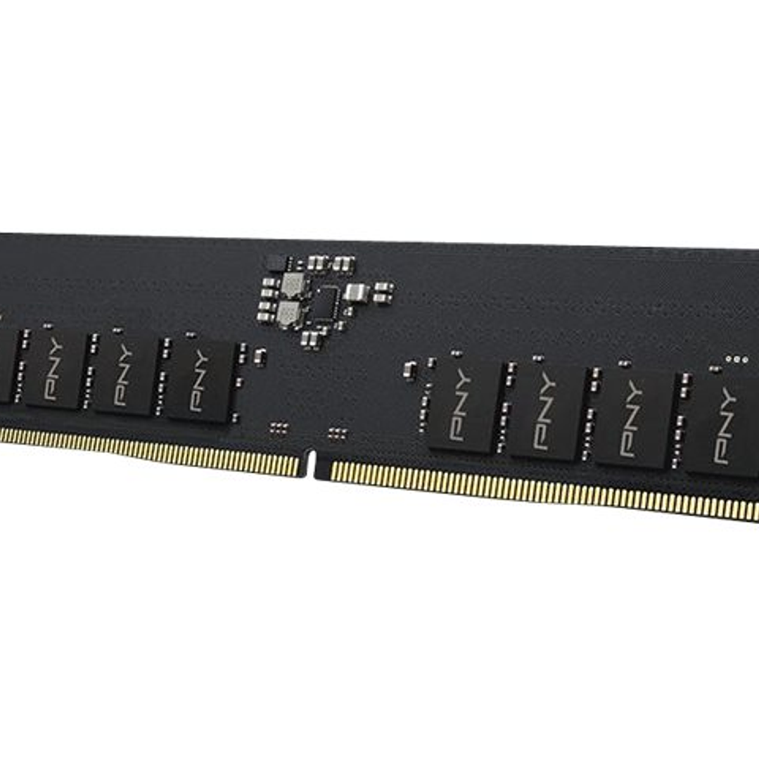 PNY Performance Memoria RAM DDR5 8GB 5600MHz CL46 1