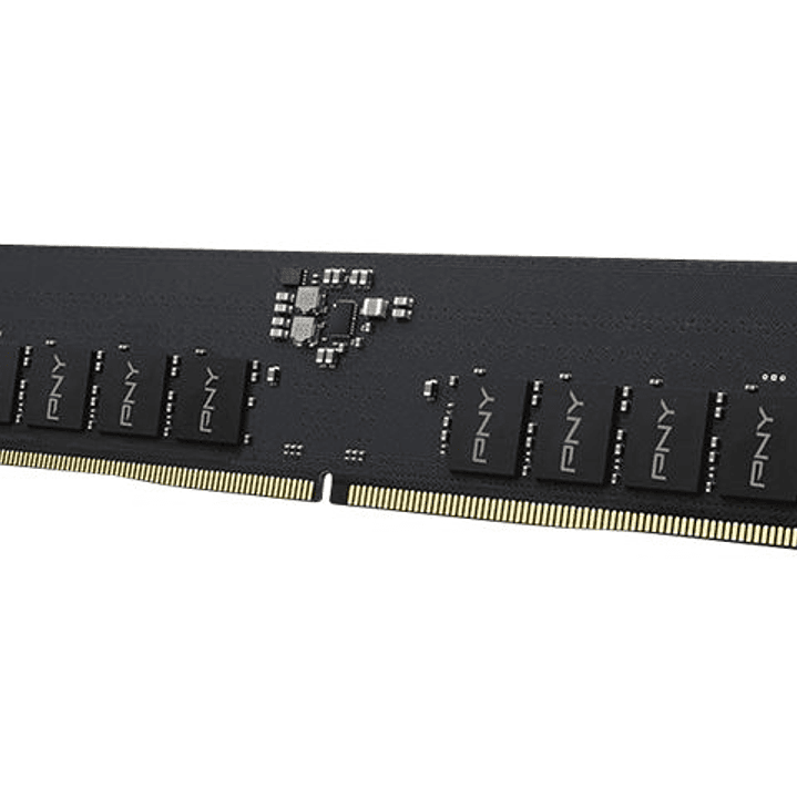 PNY Performance Memoria RAM DDR5 8GB 5600MHz CL46 1