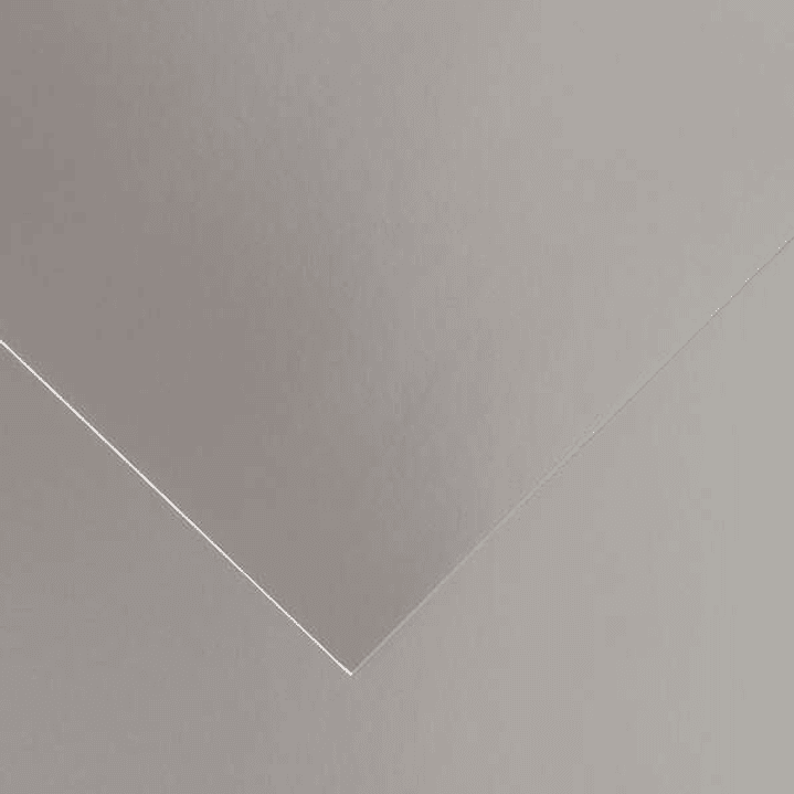 Canson Guarro Pack de 25 Cartulinas Iris de 185g - 50x65cm - Color Plata 1