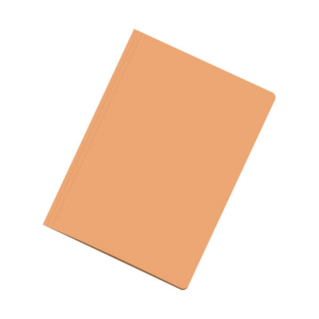 Dohe Subcarpetas Fabricadas en Cartulina de 180gr A4 - con Ranura para Fastener - Ideal para Organizar Documentos 1